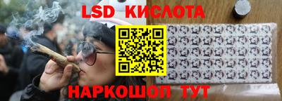 соль ск Сланцы