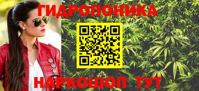 соль ск Сланцы