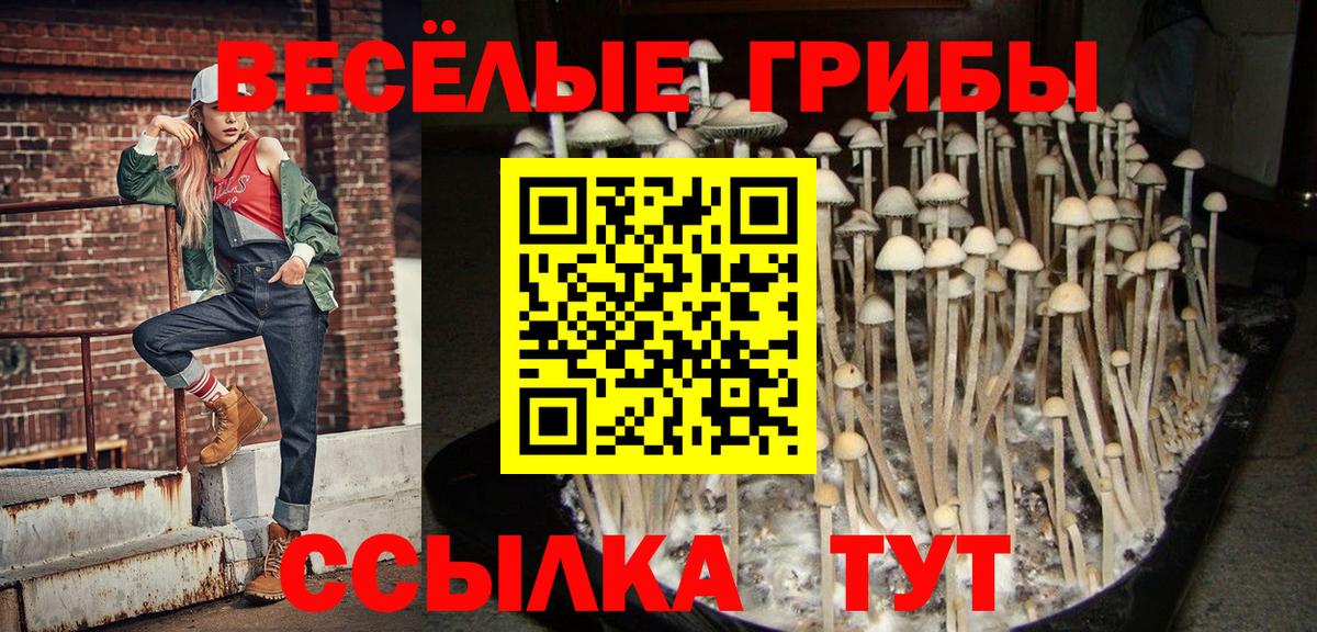 Псилоцибиновые грибы ЛСД  Вход с VPN  где найти   Псилоцибиновые грибы прущие грибы  Первоуральск 